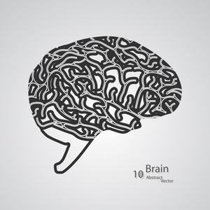 人类大脑的创作理念