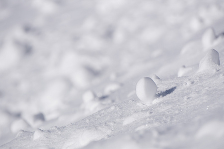 冬天的雪，一丛丛