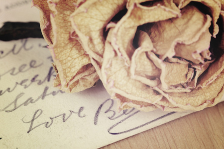 关闭的干玫瑰和爱字写在卡上。软光 v