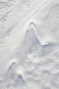 自然雪背景