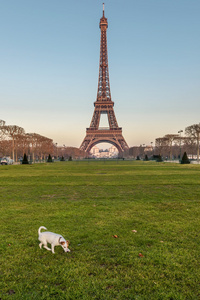 在日出 巴黎埃菲尔铁塔的视图