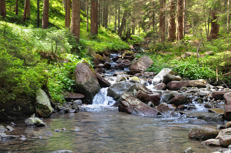 山区河流和针叶林