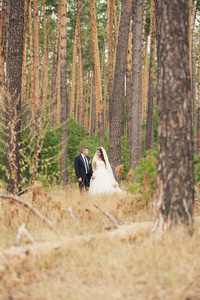 新婚夫妇走在树林里