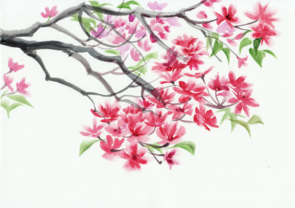 开花的树水彩绘画照片