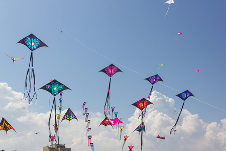 潍坊国际风筝节图片