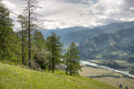 森林山背景