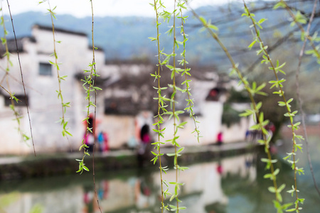 中国老式居住在湖畔图片