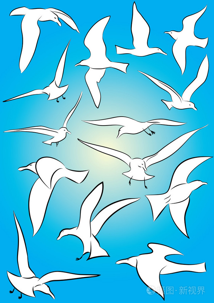 海鸥插画-正版商用图片1iiqno-摄图新视界