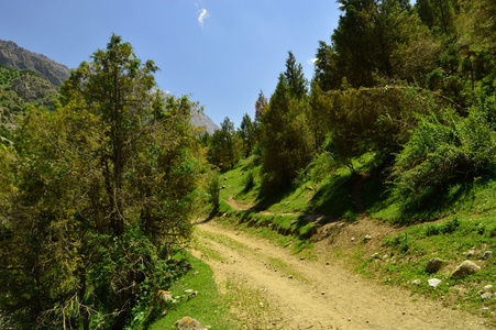 在山的路