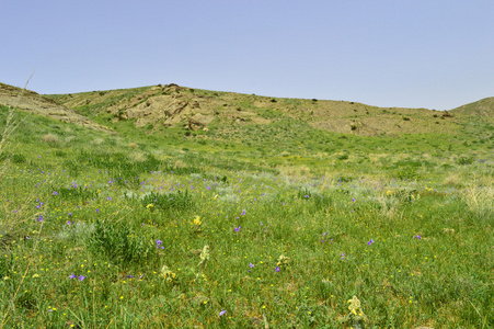 小山和山