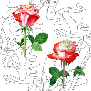 无缝模式与玫瑰