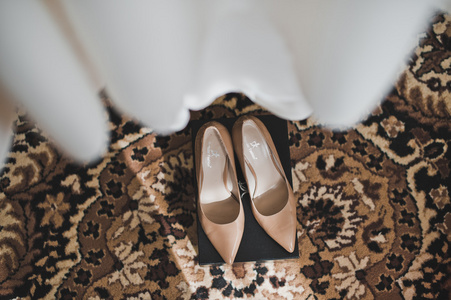 妇女的鞋子，在地毯上 2261