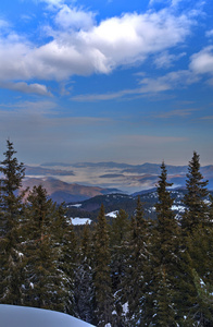 冬山风景