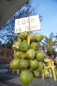 椰子依帕内玛海滩里约热内卢巴西