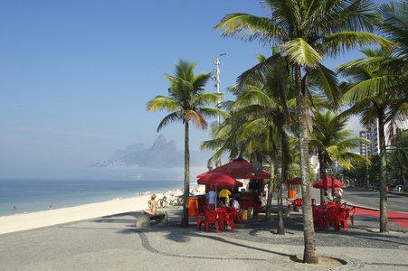 巴西海滩亭与棕榈树
