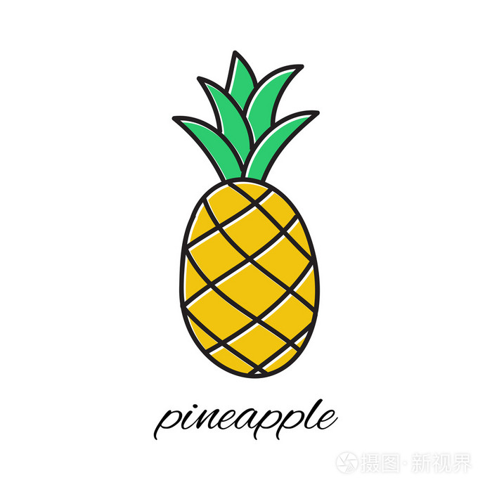 手绘涂鸦风格的菠萝矢量图