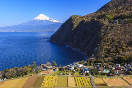 骏河湾和富士山