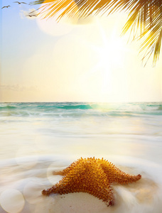 在日落的时候艺术加勒比海滩