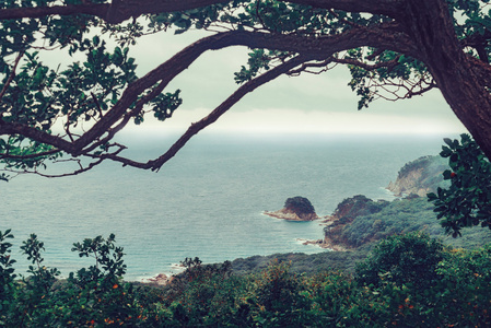 美丽的夏天海景