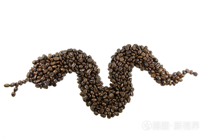 咖啡豆蛇