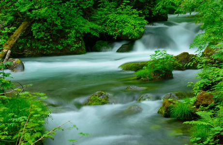 在青森县，日本 Oirase 峡谷