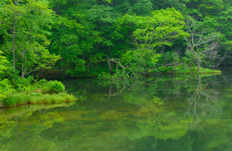 在青森县，日本 Tsutanuma 池塘