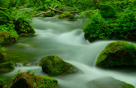 在青森县，日本 Oirase 峡谷