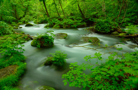 在青森县，日本 Oirase 峡谷