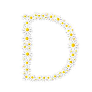 植物区系雏菊设计字母表矢量 Illustartion