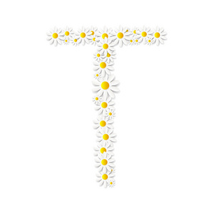 植物区系雏菊设计字母表矢量 Illustartion