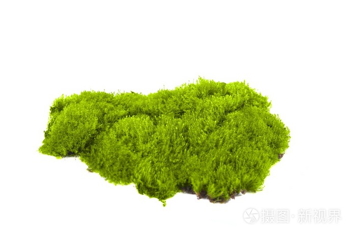 绿苔隔离