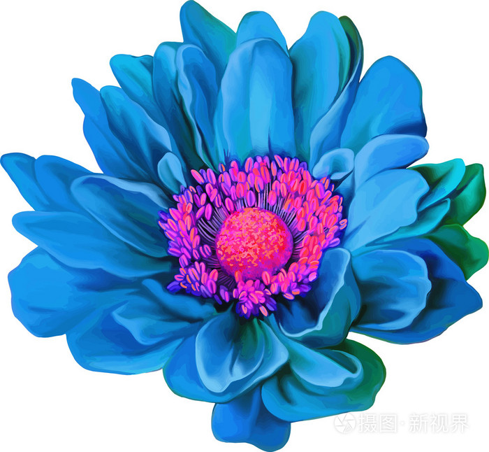 蒙娜  丽莎的蓝色小花