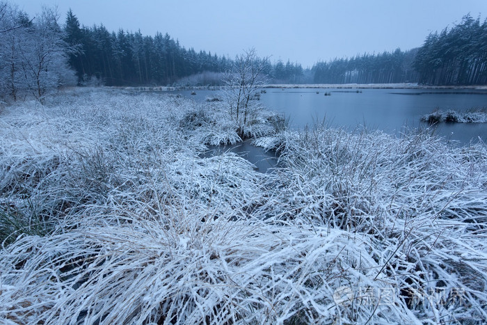 雪和霜对野生森林湖