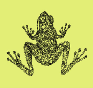 青蛙两栖动物卷曲抽象风格图片