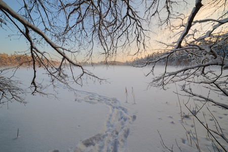 冰冻的冬季湖在雪下的木材