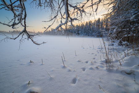 冰冻的冬季湖在雪下的木材