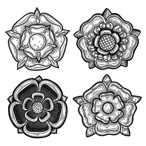 组的四个纹章玫瑰.老式的装饰元素.隔离的对象照片