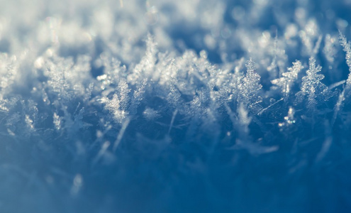 雪晶的特写