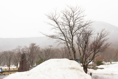 冬季雪济州岛韩国图片