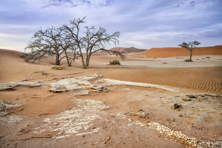 Deadvlei，纳米比亚