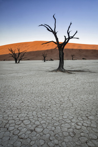 Deadvlei，纳米比亚