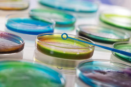 细菌培养图片-细菌培养素材-细菌培养插画-摄图新视界