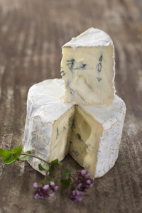 来自奥弗涅的法国发霉蓝奶酪