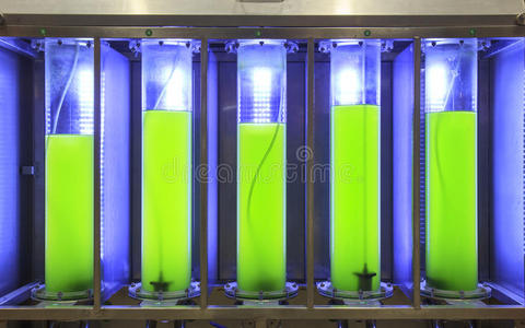 生物技术 过程 控制 化石 沼液 实验室 它的 能量 生物燃料