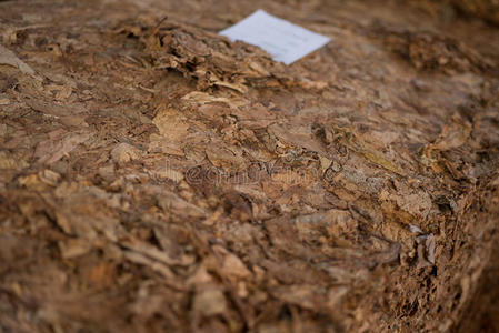 工厂仓库散装烟叶照片