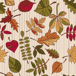 秋天的图案。秋叶的图案。森林树木的红叶黄叶和绿叶。无缝纹理。用作填充图案