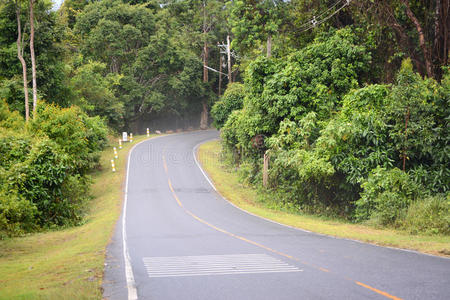 森林中的道路