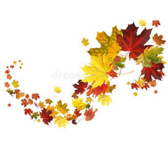 植物区系秋天图片-植物区系秋天素材-植物区系秋天插画-摄图新视界