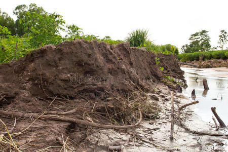 蛋白质流失图片