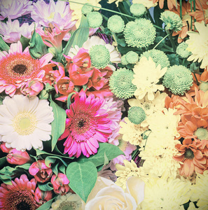 五颜六色花朵的背景图片